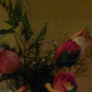 Meet your Posher, Millicent